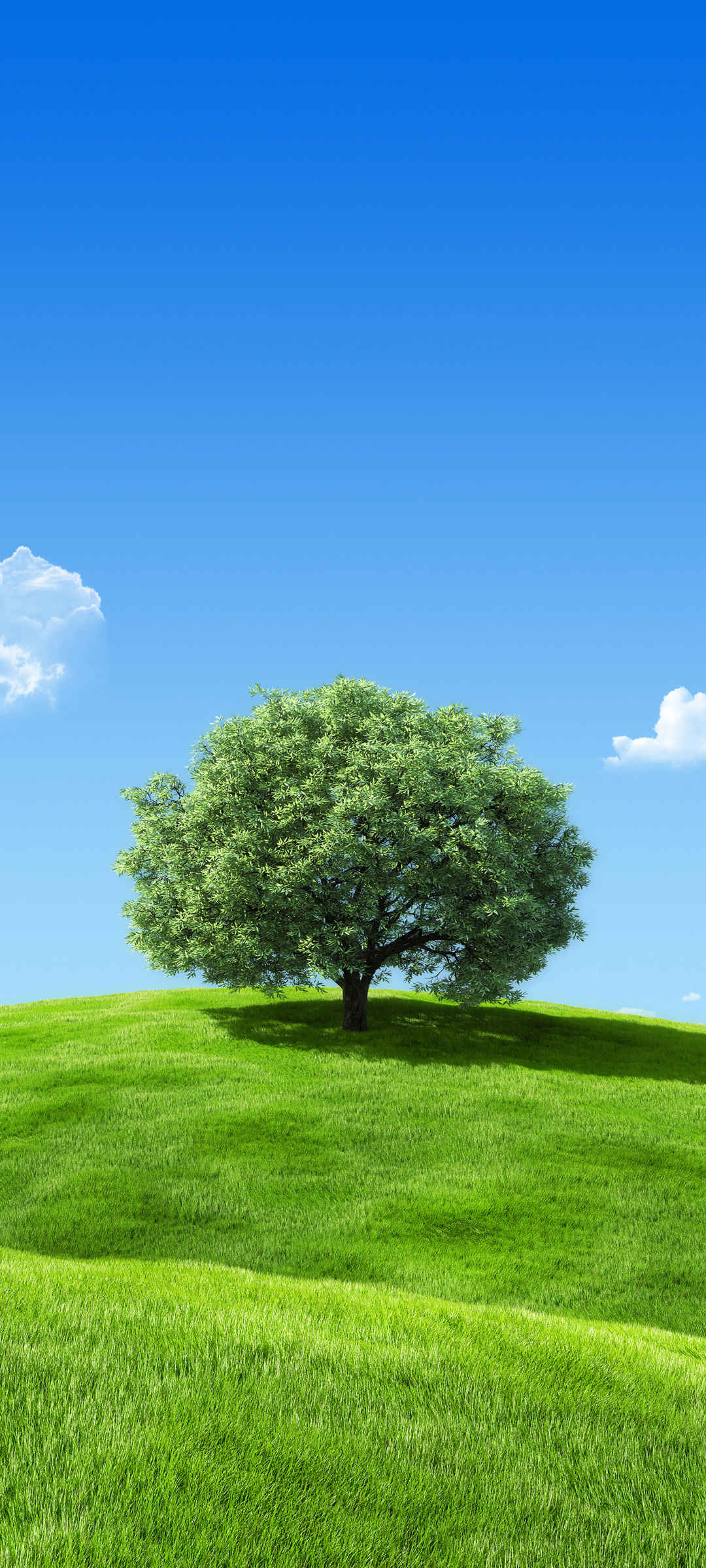 蓝天 白云 绿色草地 一棵大树风景手机壁纸-