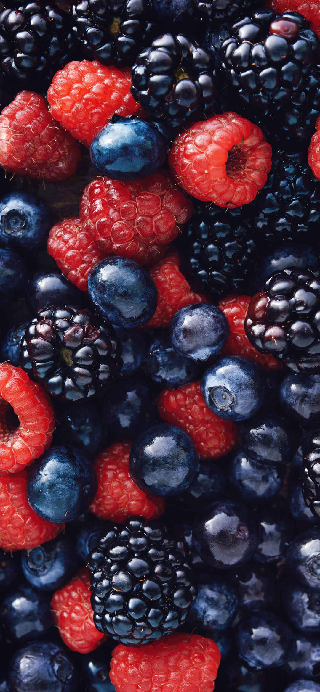 草莓 蓝莓 浆果手机壁纸-