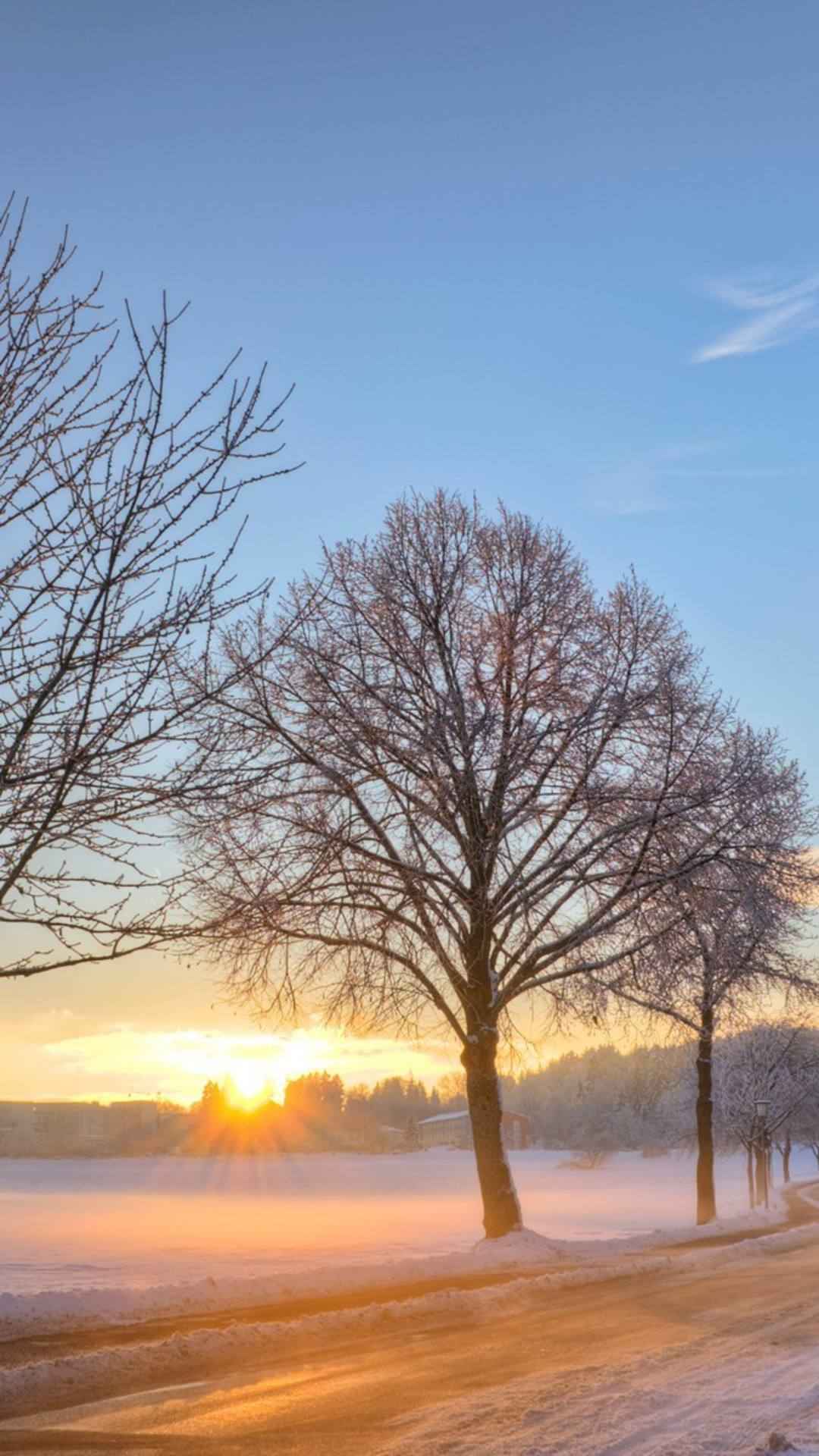 赤红的夕阳照射在雪地树木的超唯美风景手机壁纸免费下载-