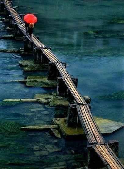 平静如镜面的湖上的一个独木桥-