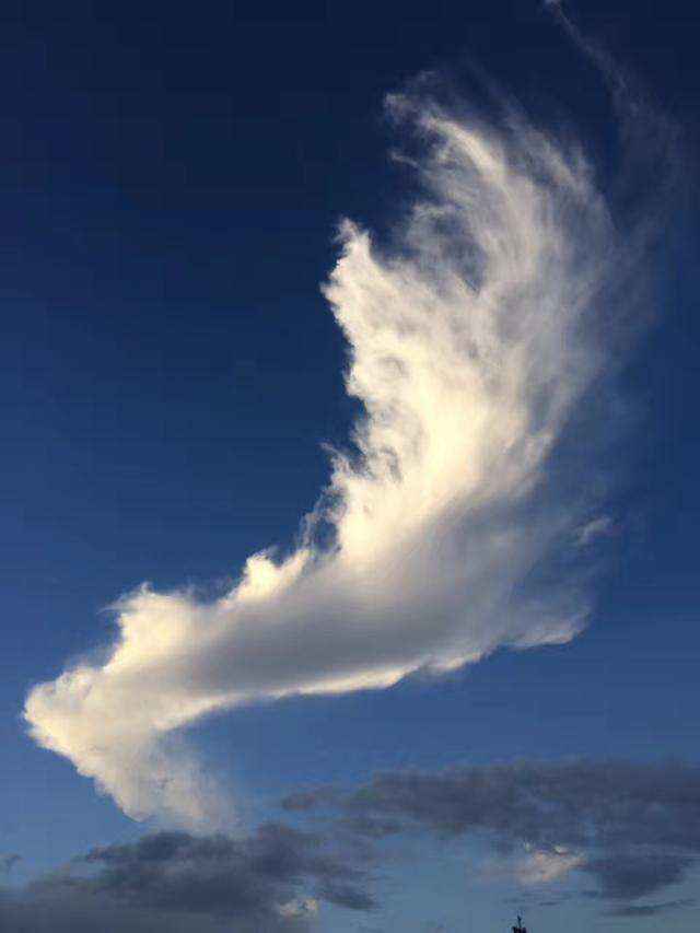 天空中飞过的老鹰等云彩风景手机壁纸-
