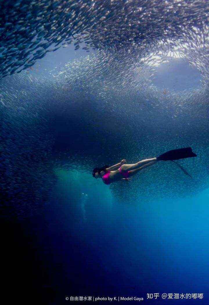 海底，一个潜泳的欧美女性，透过湖面的光，唯美水下摄影手机壁纸-