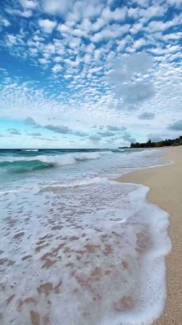 美丽的风景线沙滩，海滩高清手机壁纸-