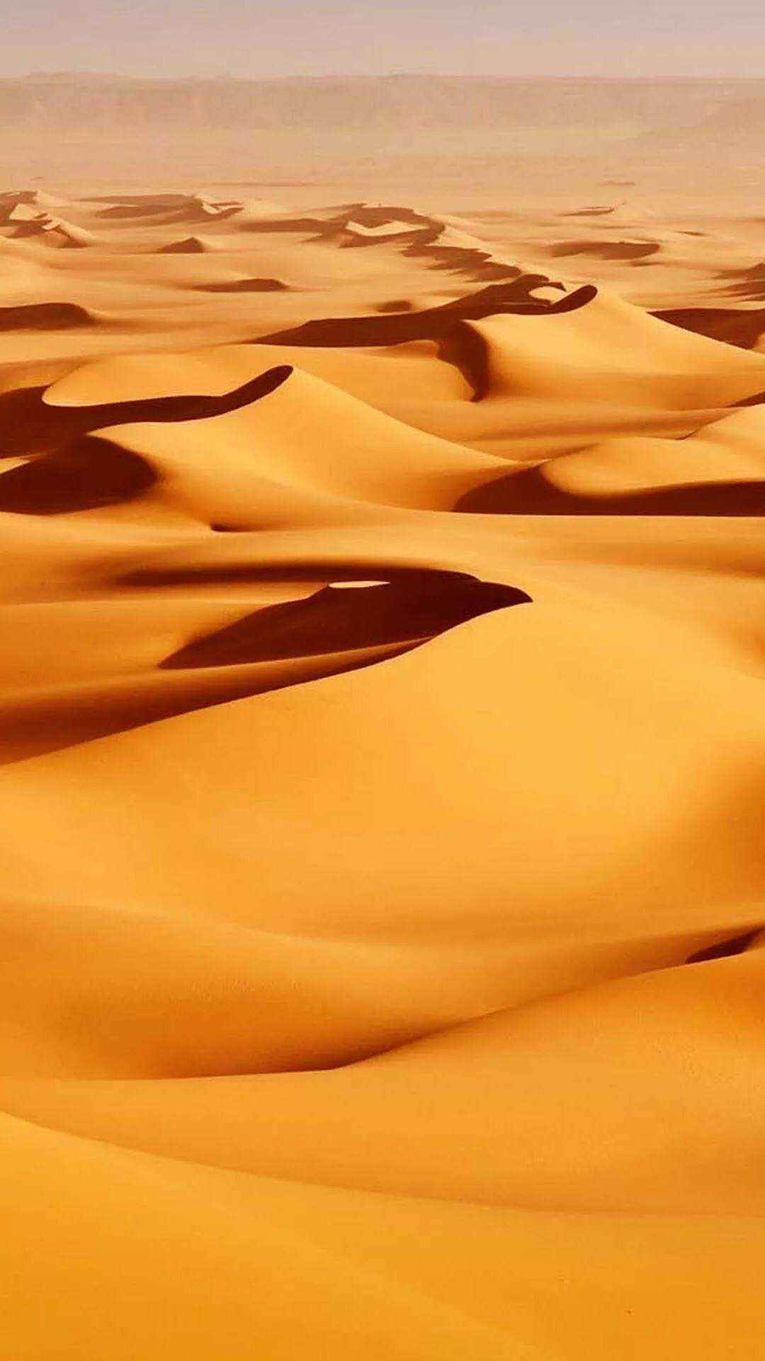 沙漠里的漫天黄沙高清手机壁纸图片套图1