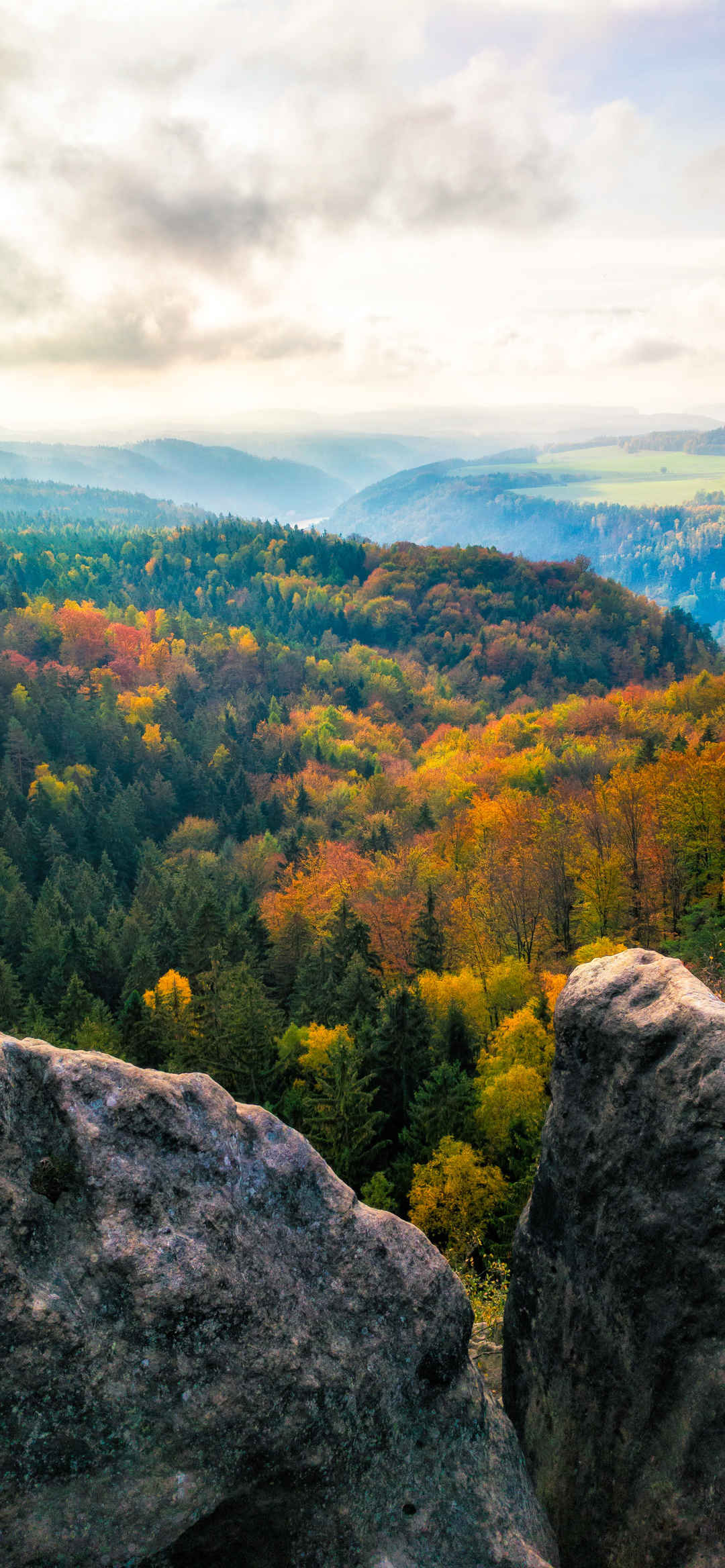 大自然秋天树林石头风景壁纸-