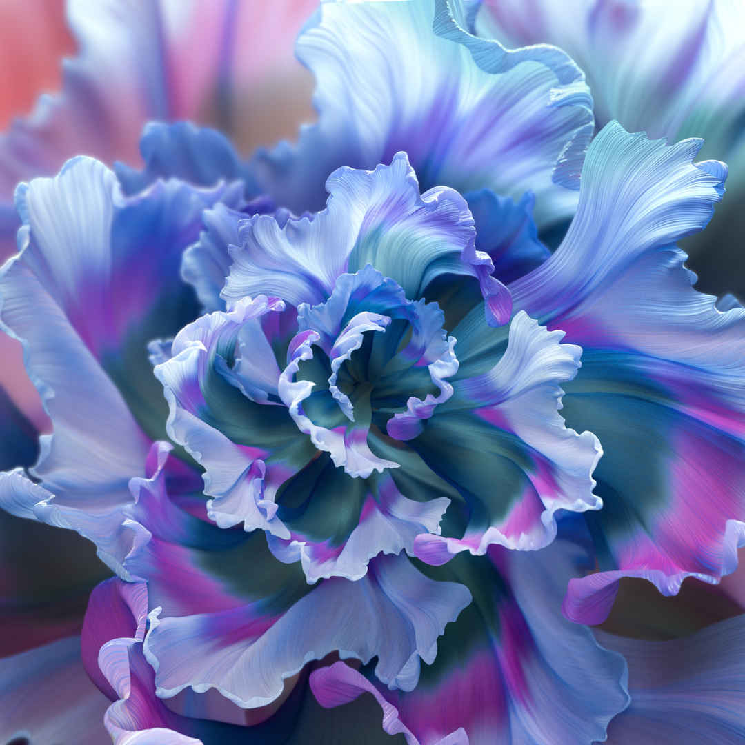 抽象紫色花朵手机壁纸-