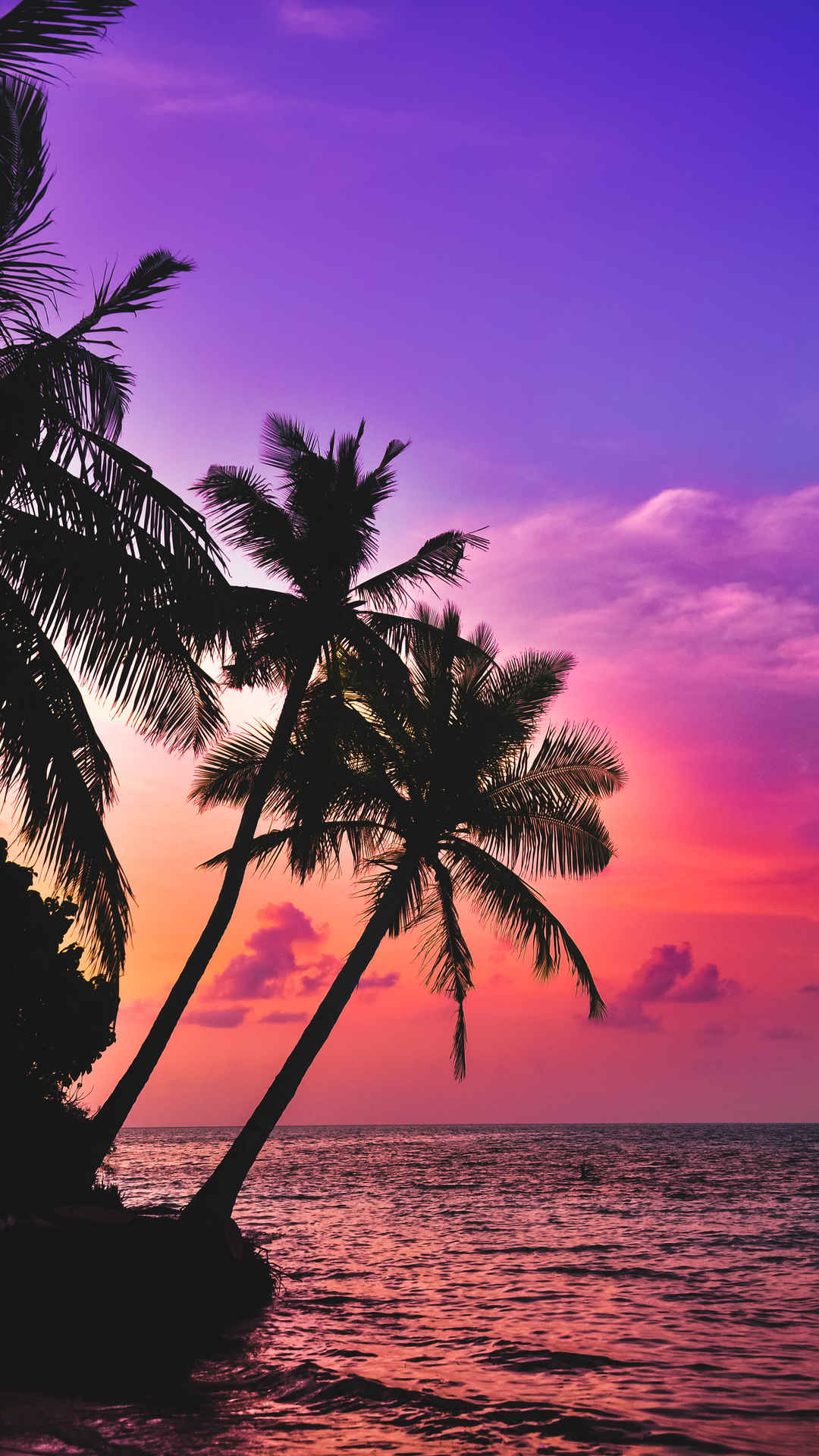 日落 大海 棕榈树手机壁纸