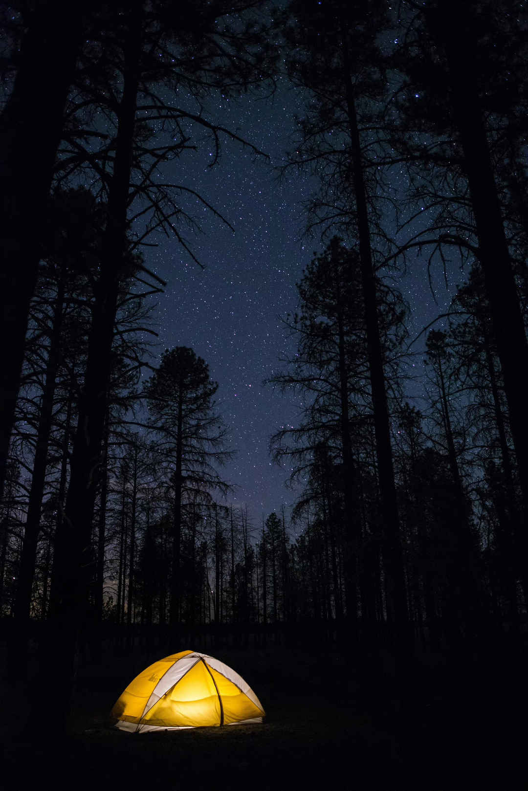 露营 帐篷 娱乐 生活方式 乐趣 森林 星星 银河
