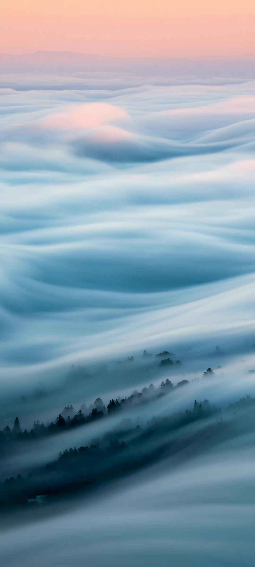 大雾仙境般风景手机壁纸