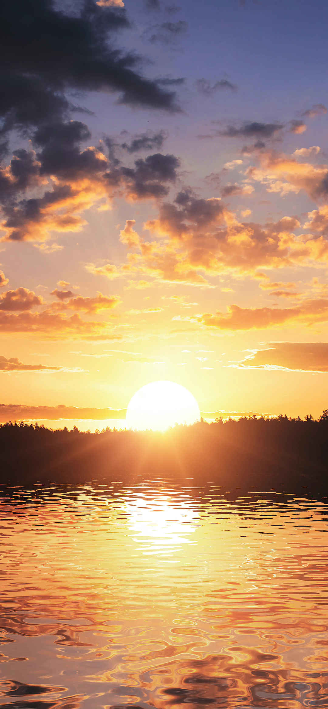夕阳照射在树林湖泊上暖心壁纸