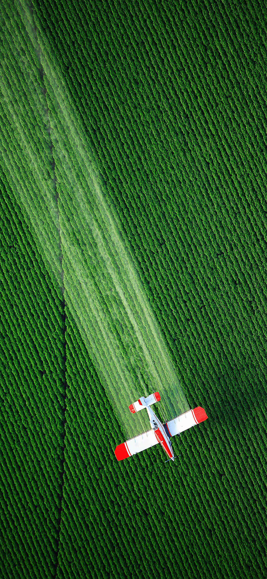 俯瞰飞机喷洒农药绿色风景手机壁纸