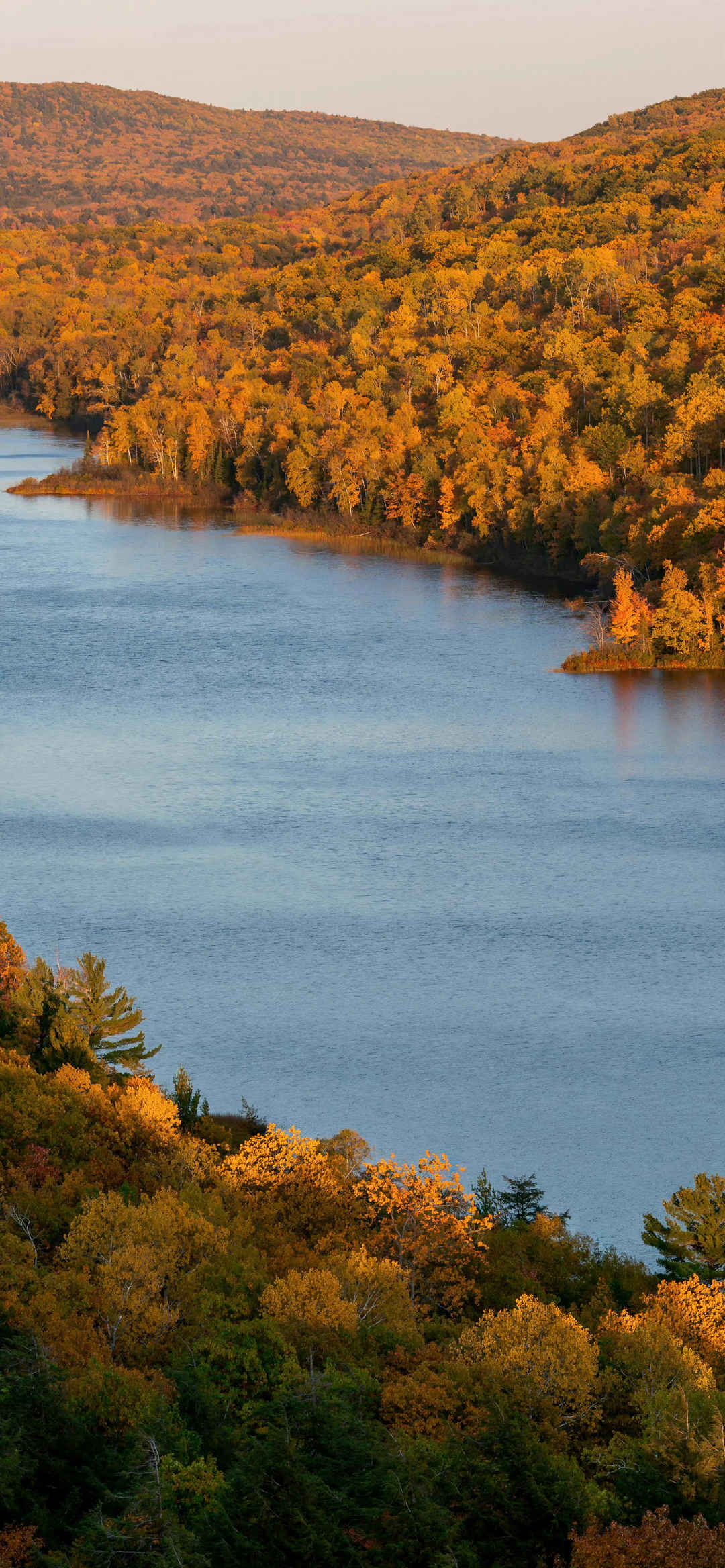 秋天快乐黄色树林宽大河流风景图
