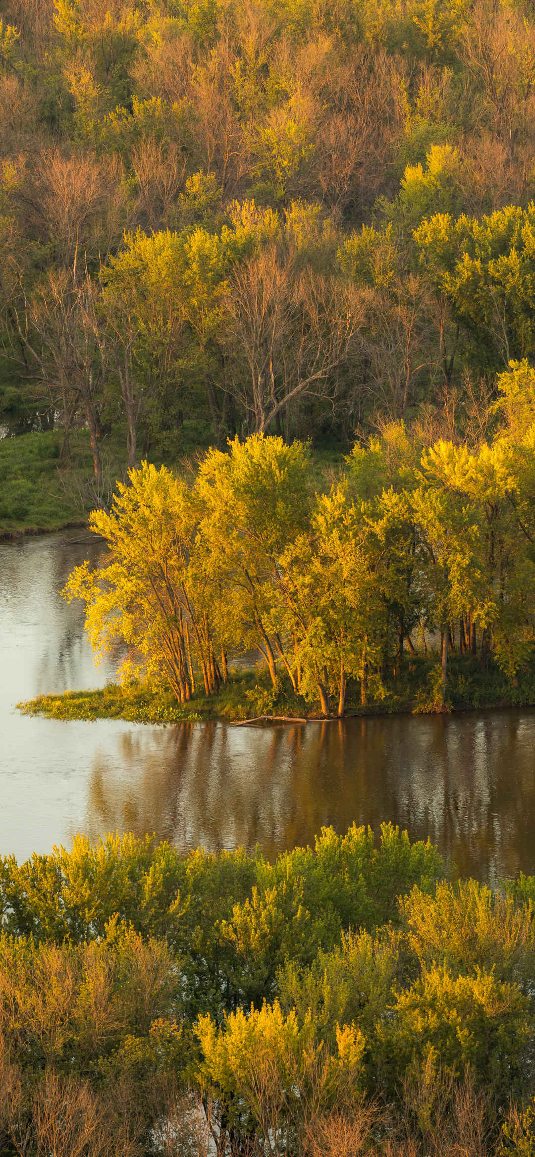 秋天快乐树林河水流动风景图
