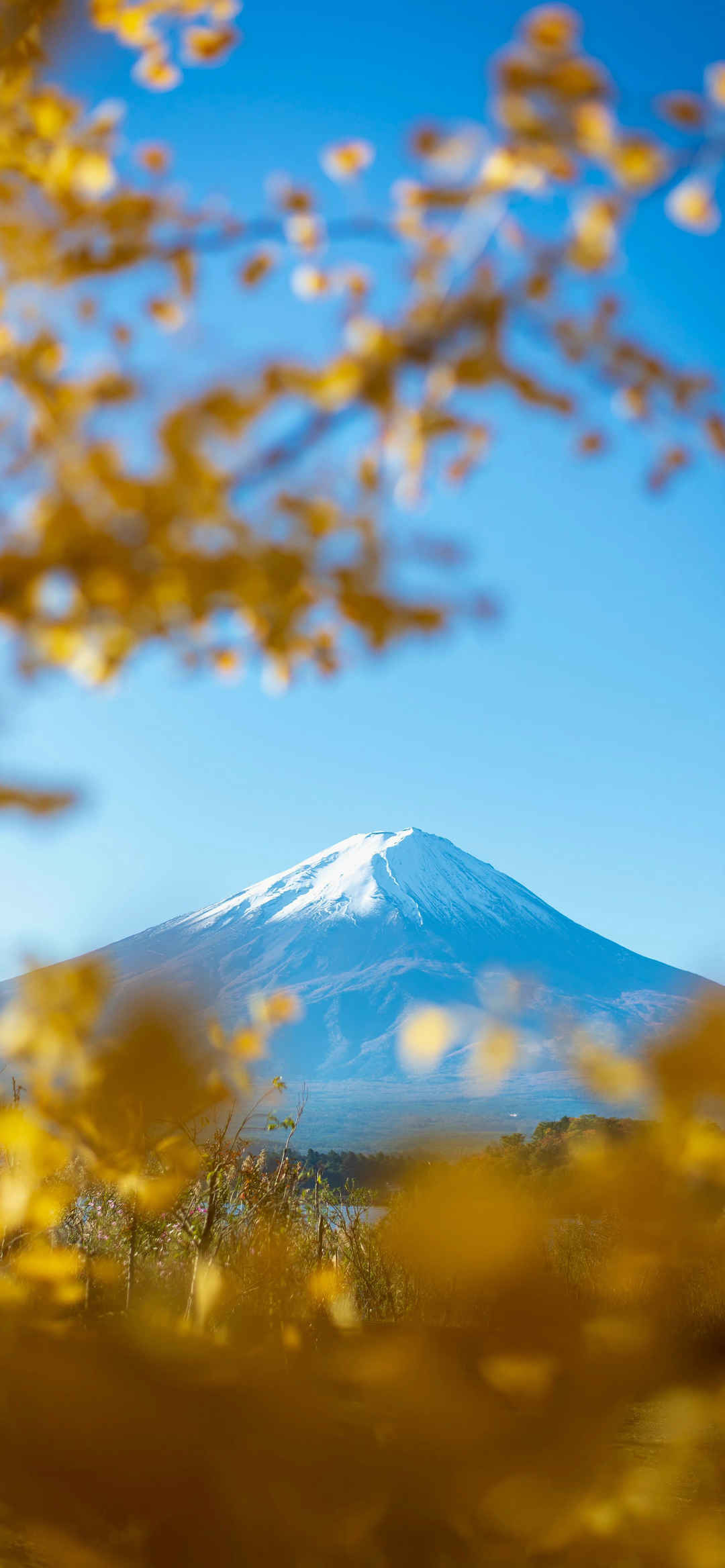 秋天富士山美景壁纸-
