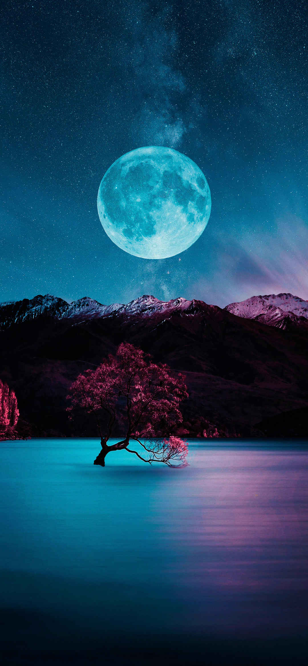 星空 月亮 湖泊 一棵树手机高清壁纸-