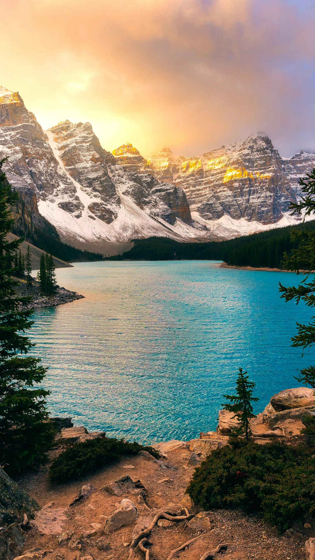 加拿大园梦莲湖手机壁纸