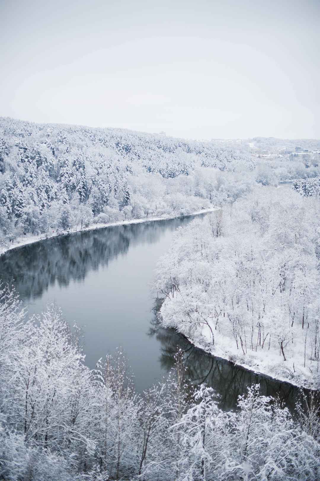 白雪皑皑的树林手机壁纸风影图片