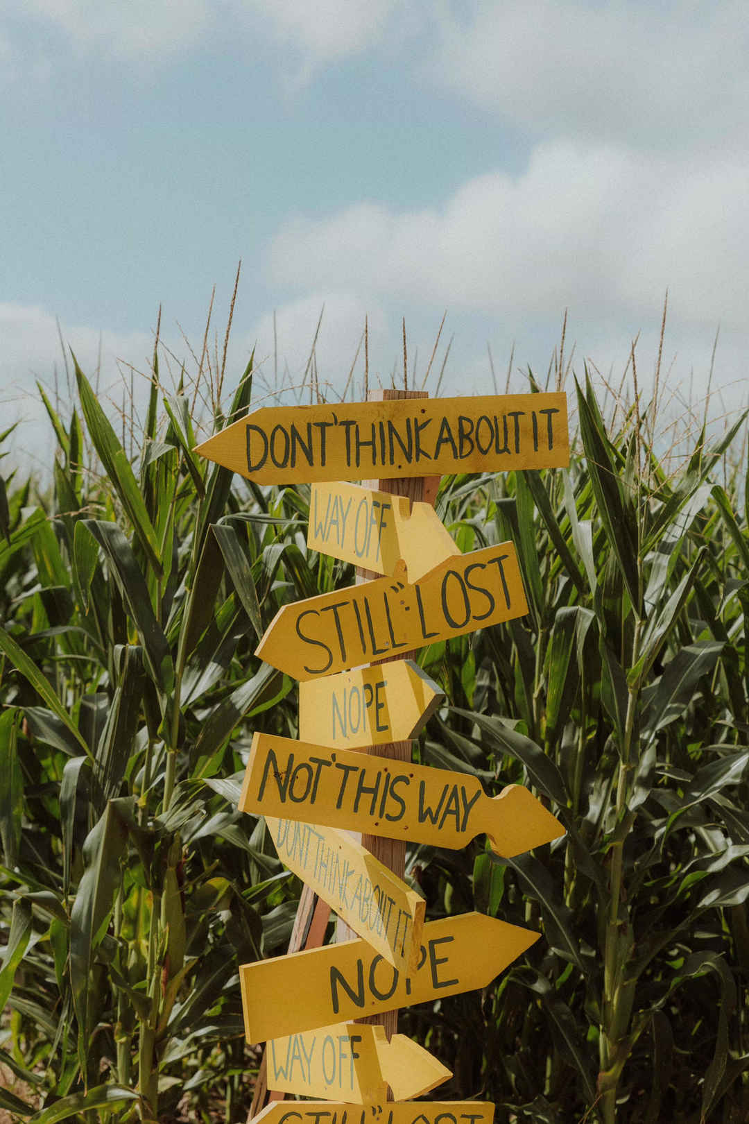 玉米地指示牌手机壁纸图片