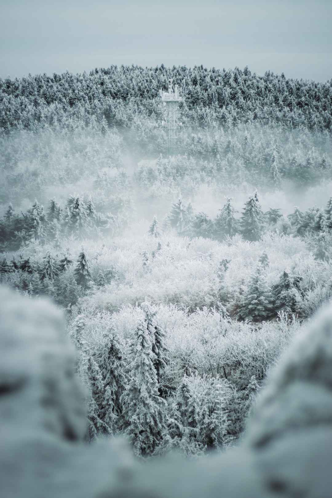 冬天唯美山林雪景手机壁纸图片