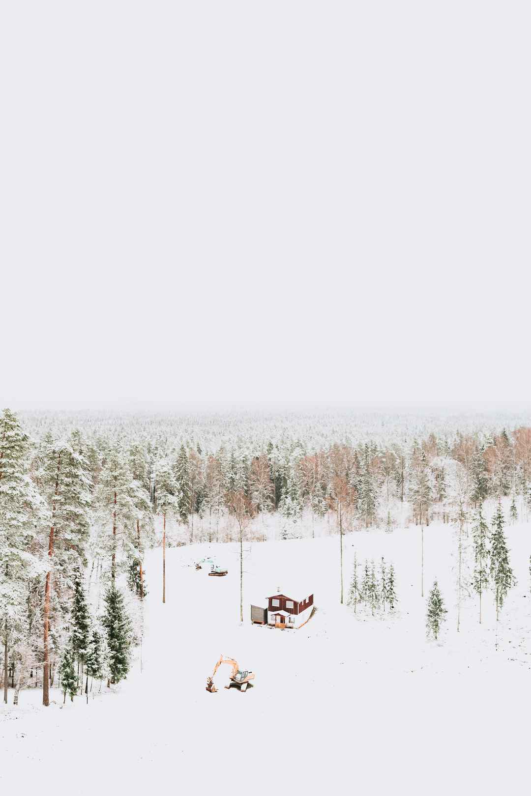 梦幻冬天丛林冬天雪景手机壁纸图片