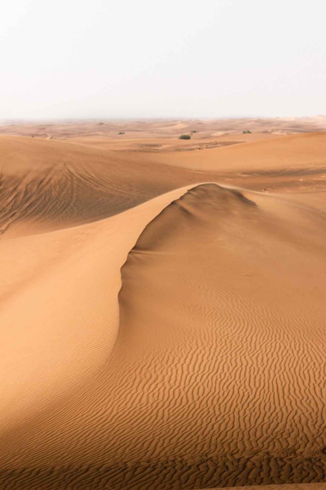 荒芜戈壁沙漠手机壁纸