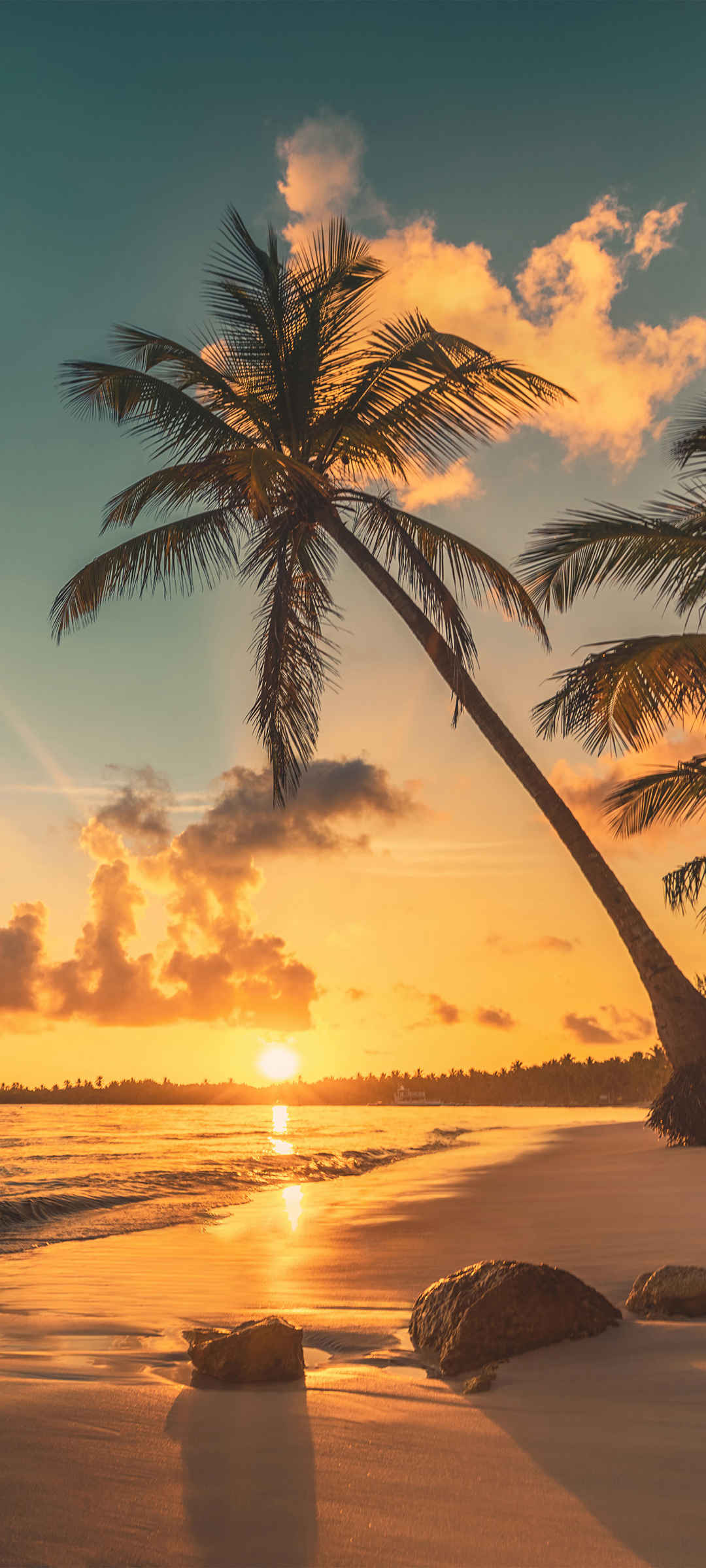  海边 沙滩 日落 夕阳 椰树 风景手机图片