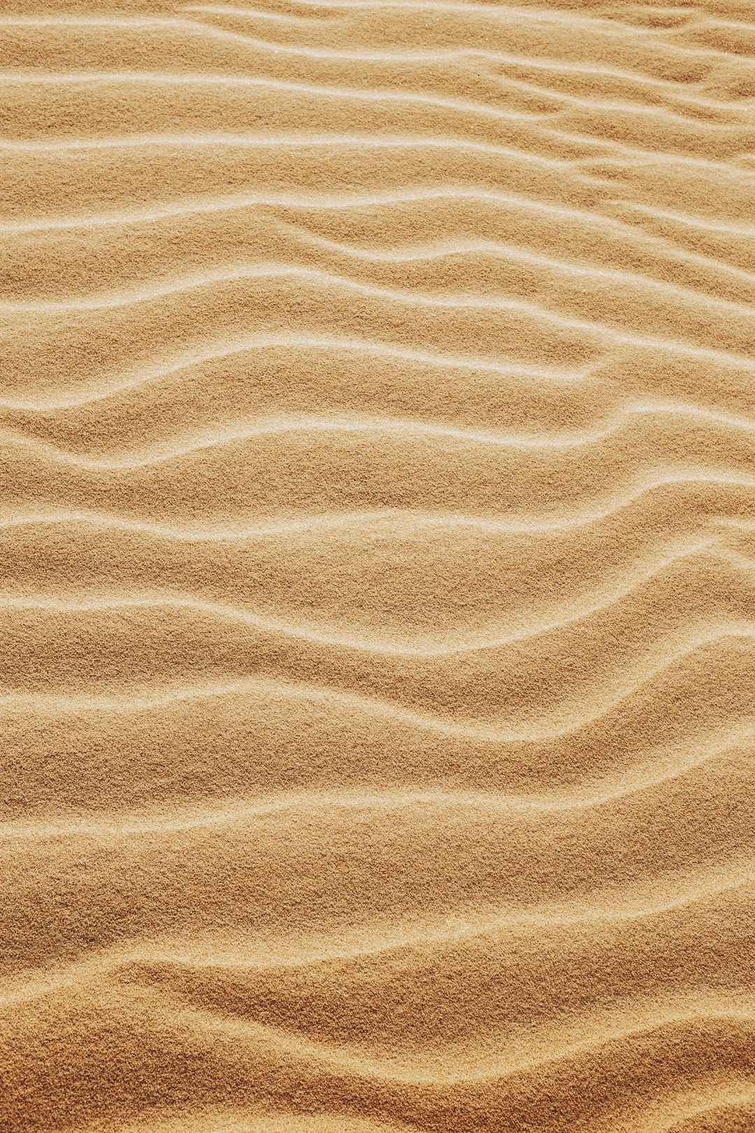 沙漠中的细沙丘图片-