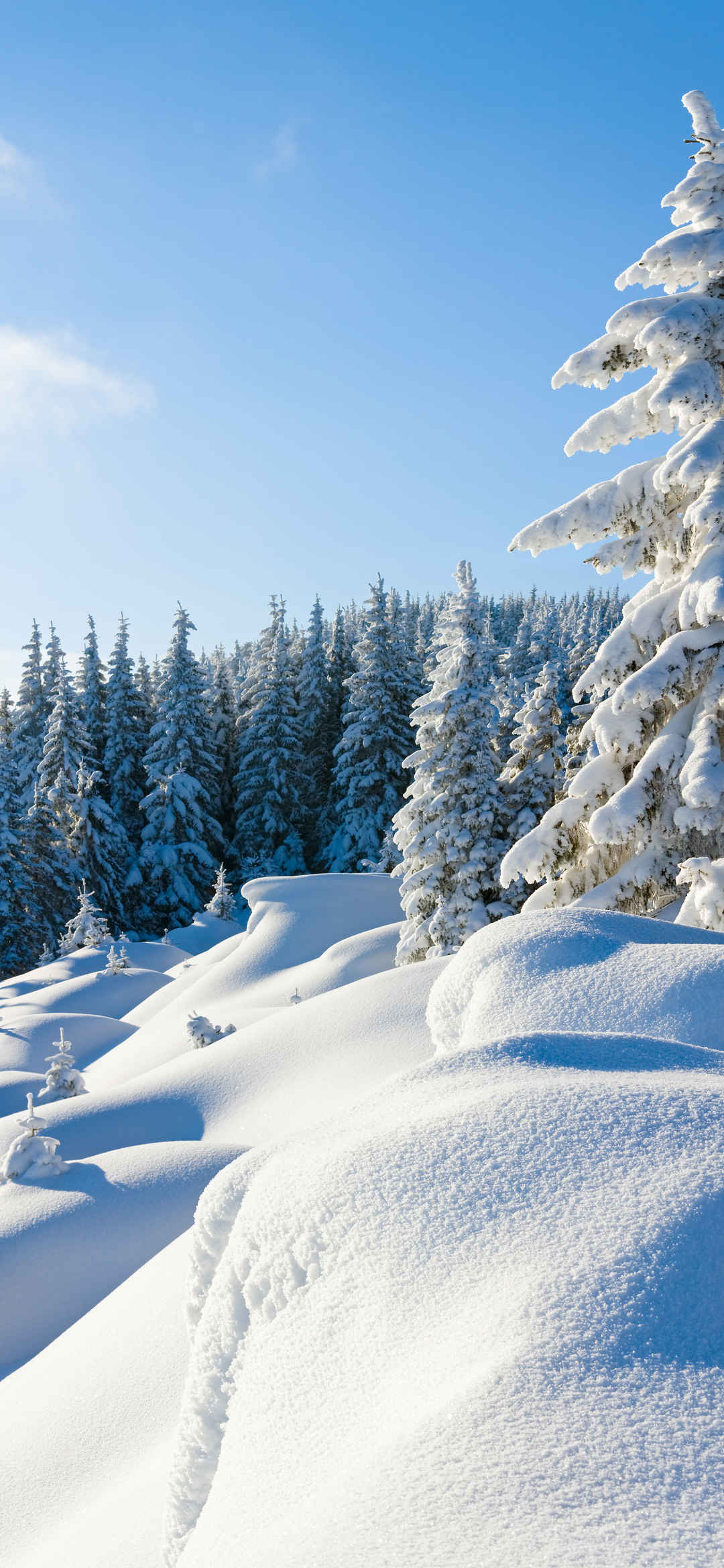 冬季雪景高清唯美壁纸
