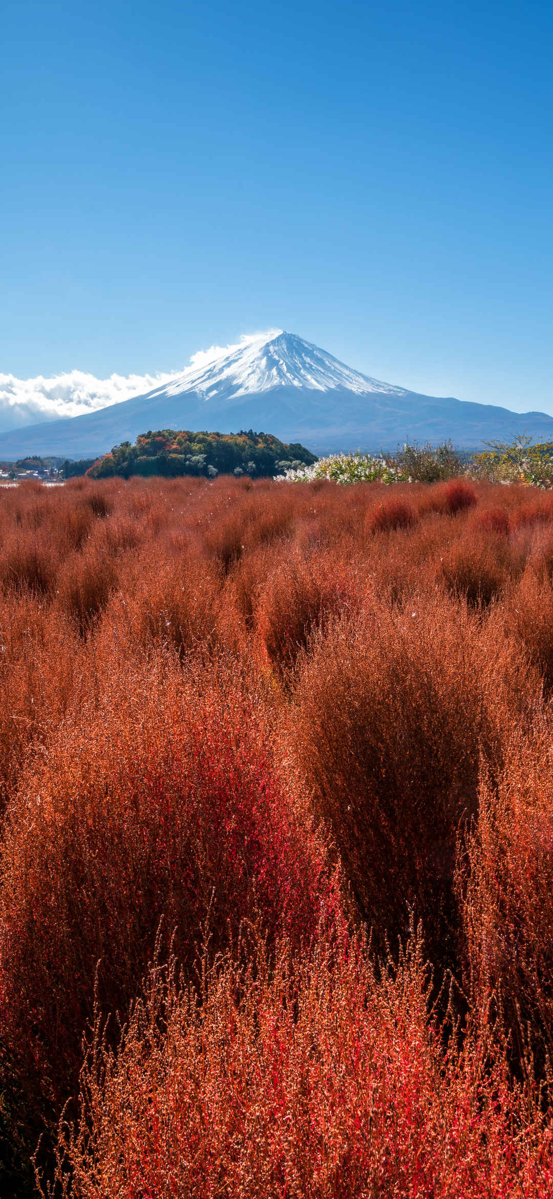 大自然富士山风景高清壁纸-