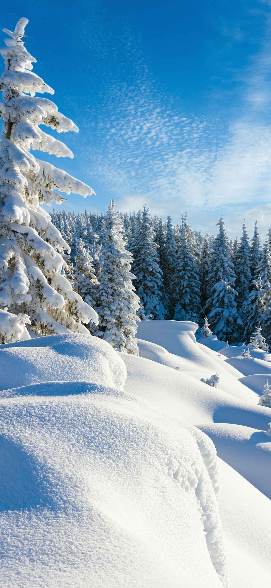 冬天唯美雪景手机壁纸-