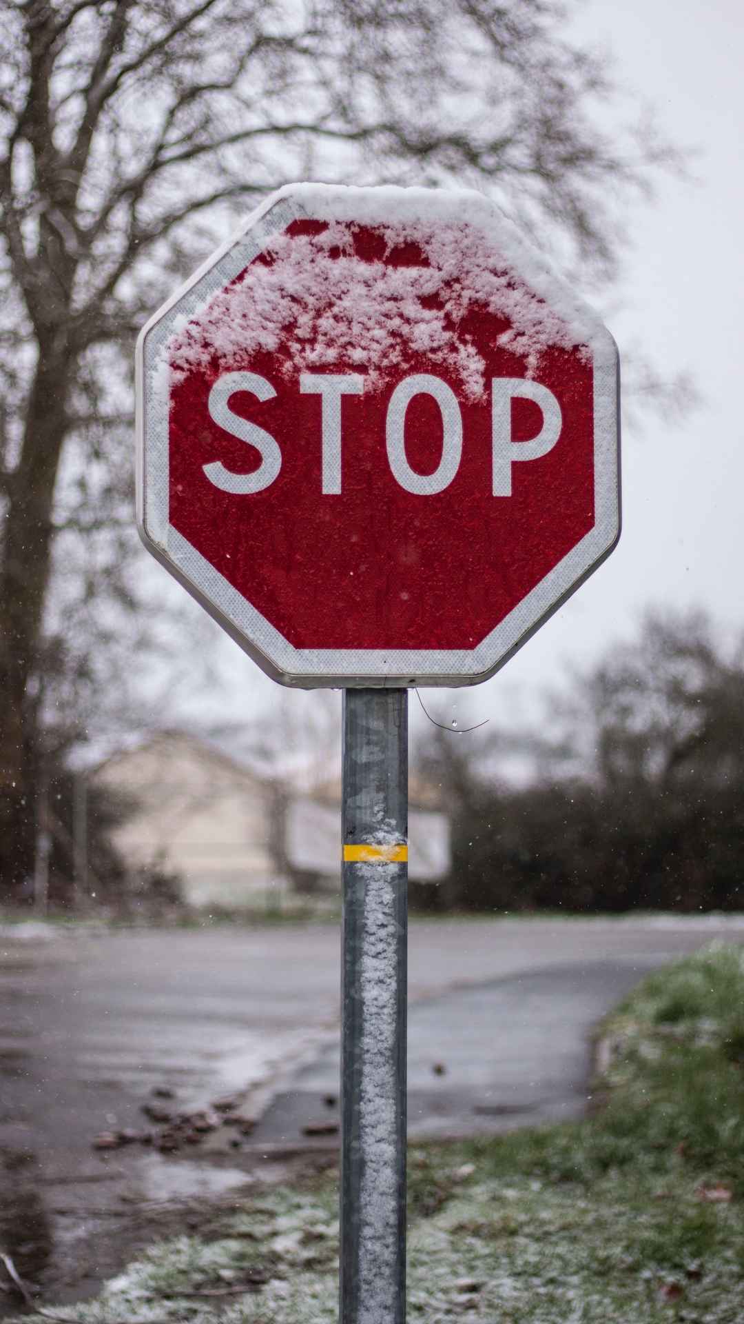 路牌stop指示壁纸
