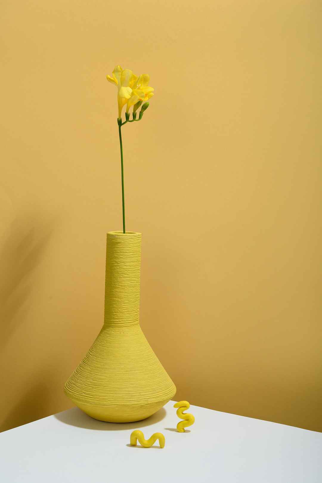 橙黄色花瓶插花壁纸图片
