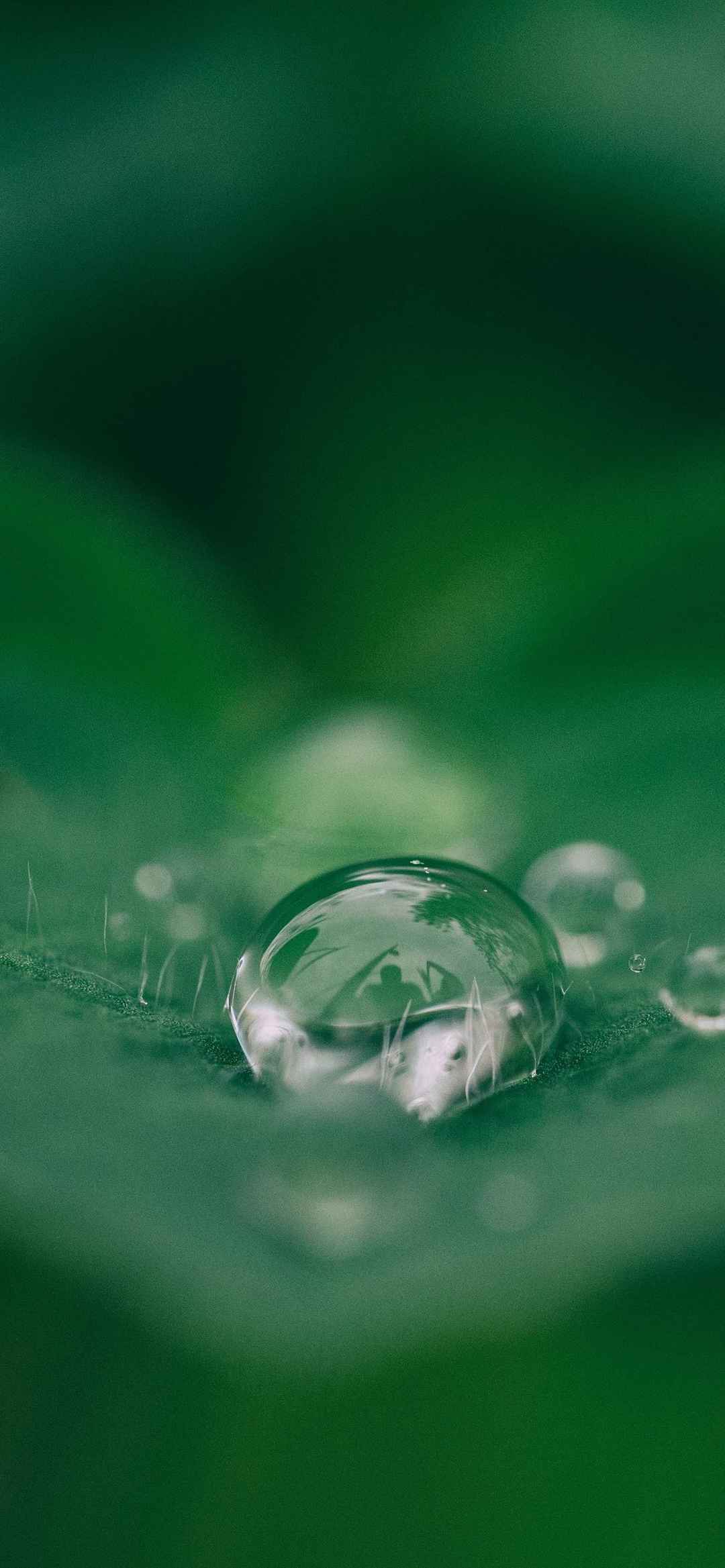 绿色水滴护眼壁纸-