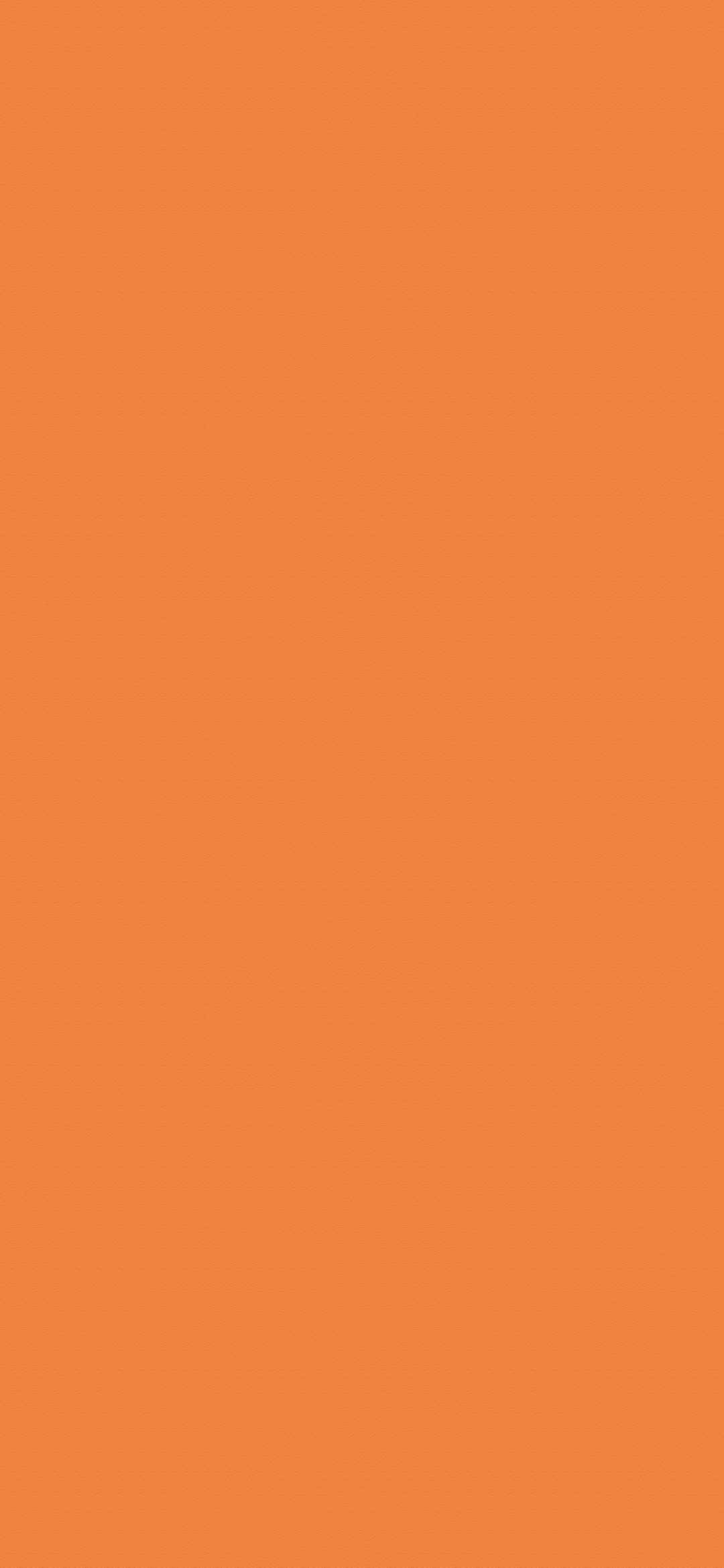 橙色纯色手机壁纸-
