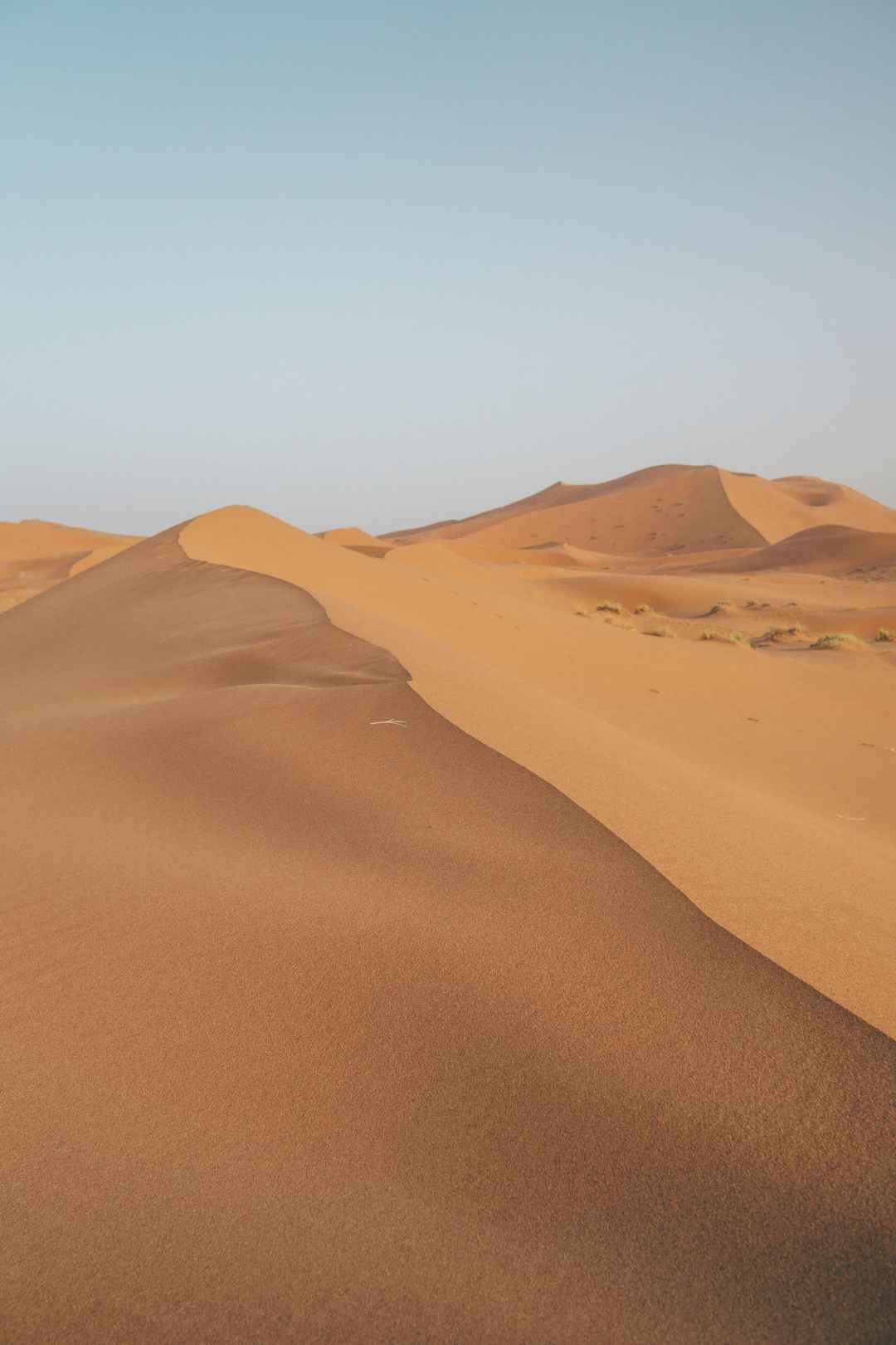 撒哈拉沙漠手机壁纸